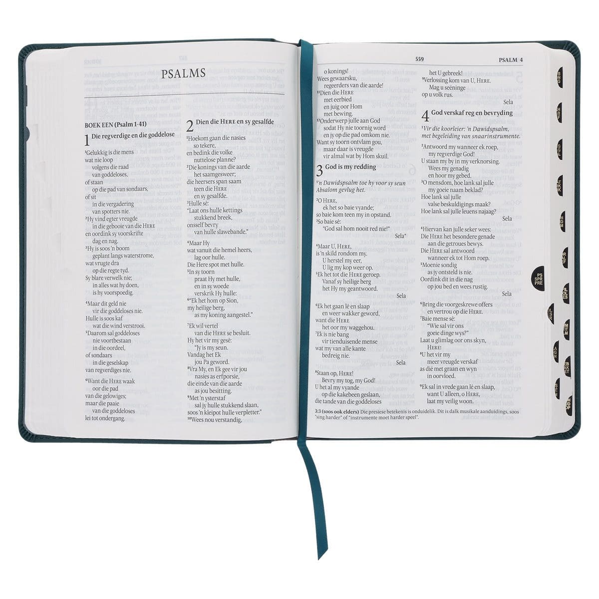 9780638009576_feature3 NLV Olyfgroen Met Goue Blomme Kunsleer Standaard Bybel Met Duimgrepe - Image 9