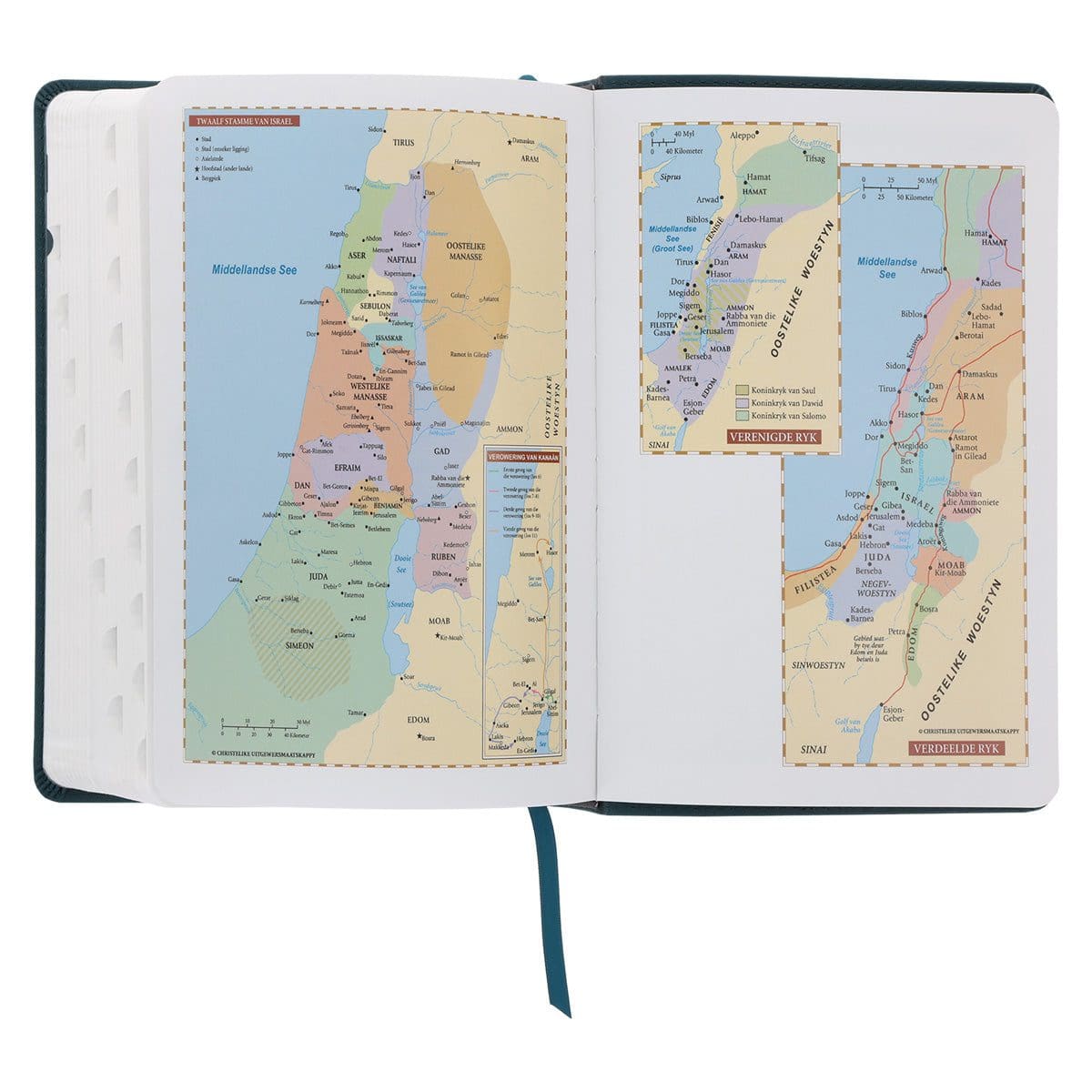 9780638009576_feature4 NLV Olyfgroen Met Goue Blomme Kunsleer Standaard Bybel Met Duimgrepe - Image 10