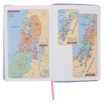 NLV Ligblou Met Pienk Blomme Kunsleer Standaard Bybel Met Duimgrepe - Image 6