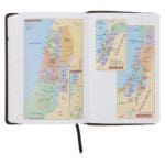 NLV Donkerbruin en Oranje Kunsleer Standaard Bybel Met Duimgrepe - Image 10