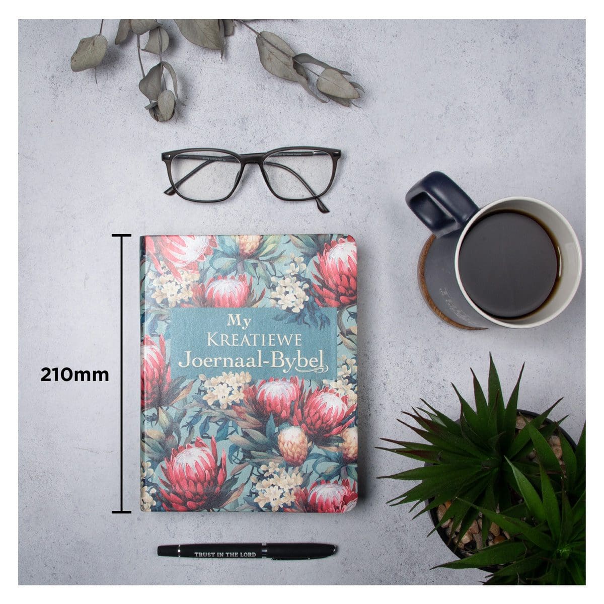 9780638009613_feature5 NLV Proteas Kunsleer My Kreatiewe Joernaal-Bybel - Image 19