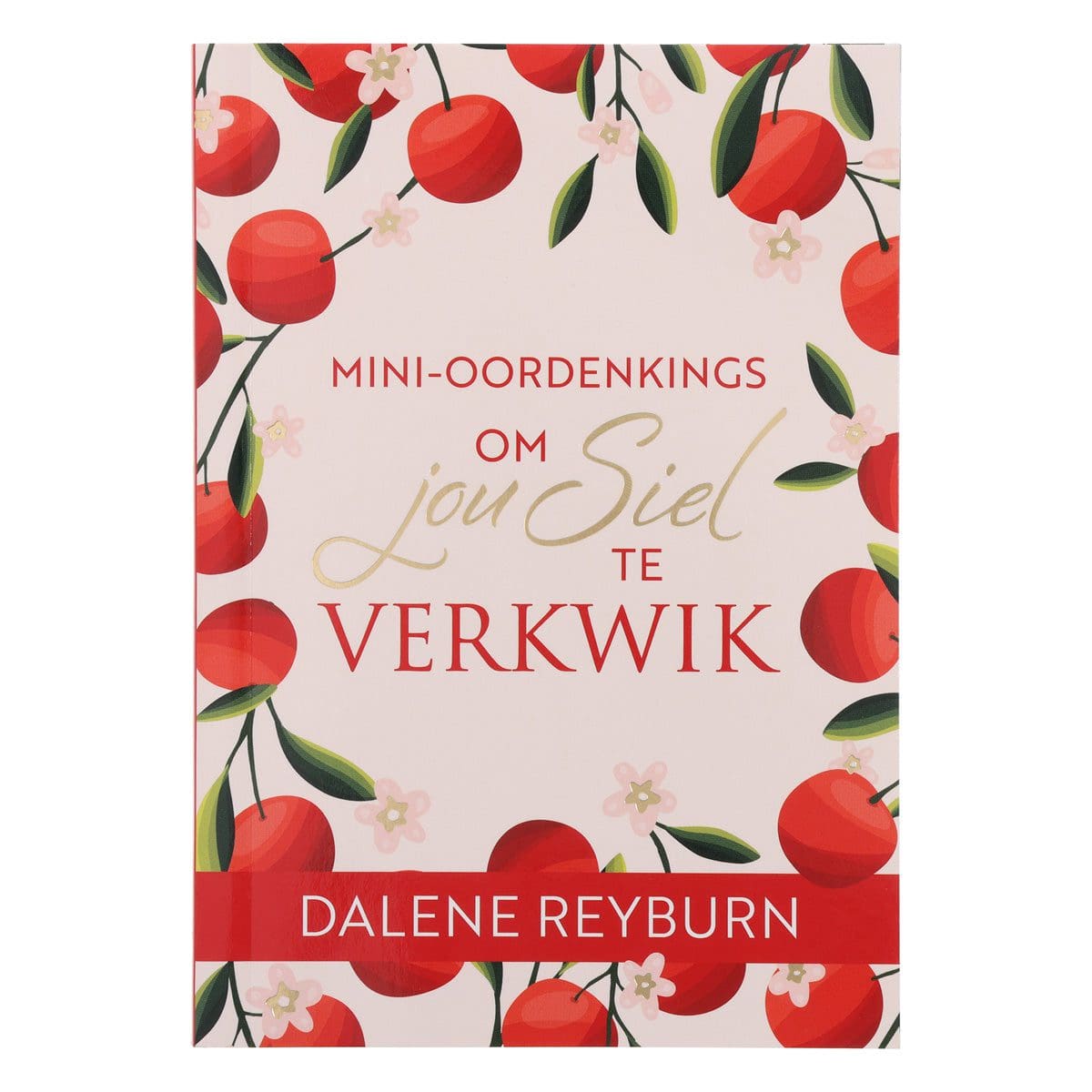 9780638009811_front Mini-Oordenkings om Jou Siel te Verkwik (Sagteband) - Image 29