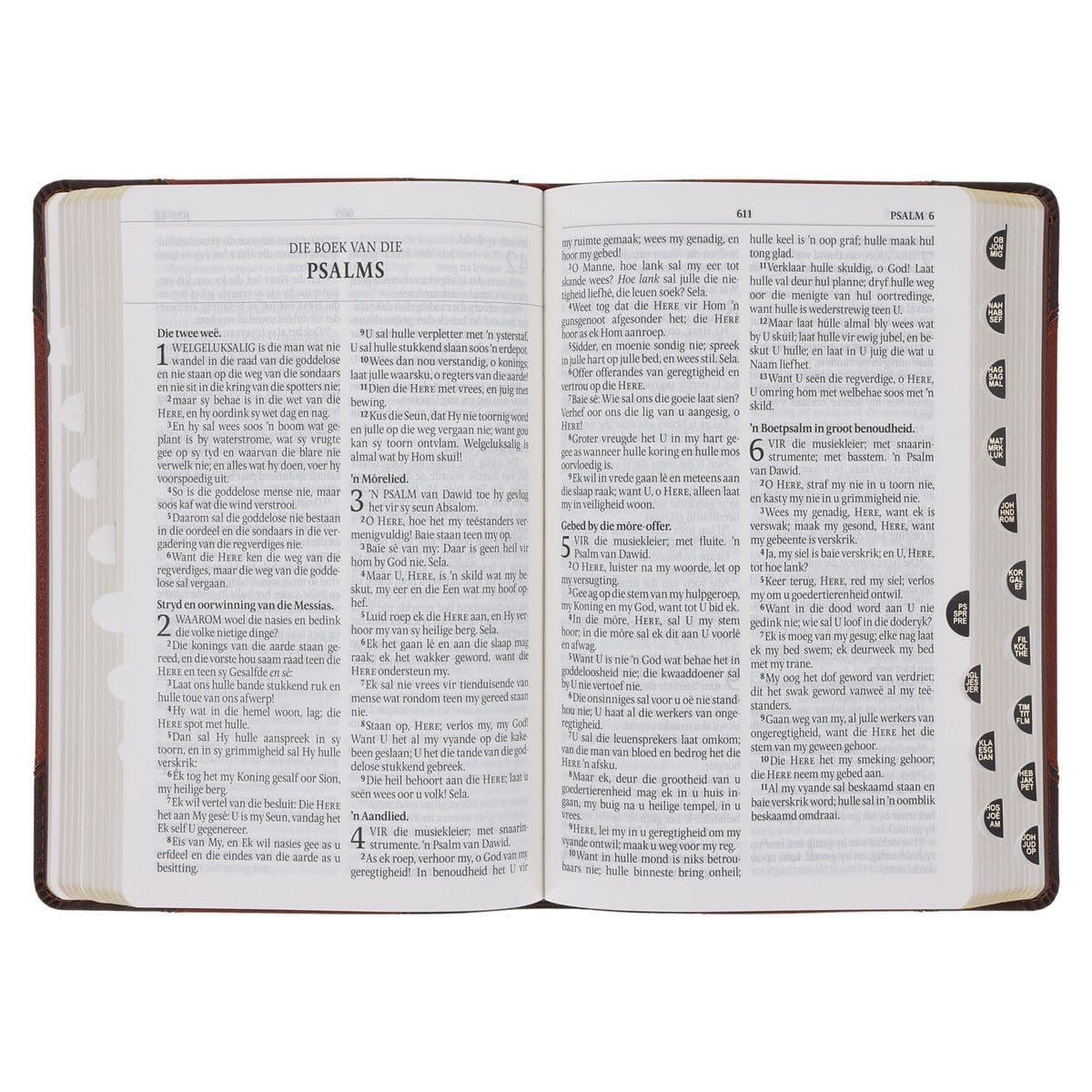 9780638009903_feature3 Afrikaans 1933/1953 Vertaling Bruin Kunsleer Bybel - Image 11