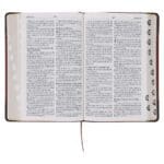 Afrikaans 1933/1953 Vertaling Bruin Kunsleer Bybel - Image 13