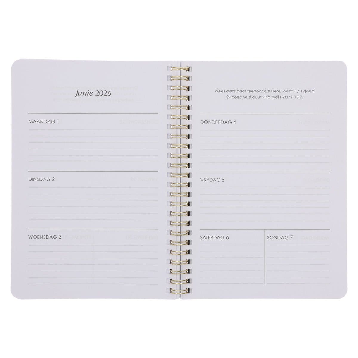 9780638010299_feature4 2026 Dagboek - Dagbeplanner - Ek Weet Wat Ek vir Julle Beplan - Ringbind - Image 6