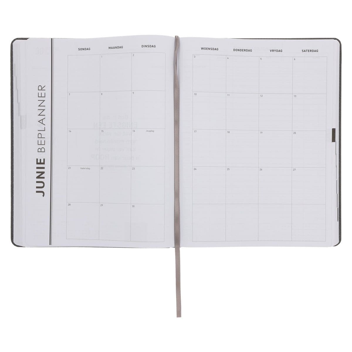 9780638010329_feature4 2026 A4 Dagboek - Professionele Jaarbeplanner - Soek Julle Krag in die Here - Kunsleer - Image 6