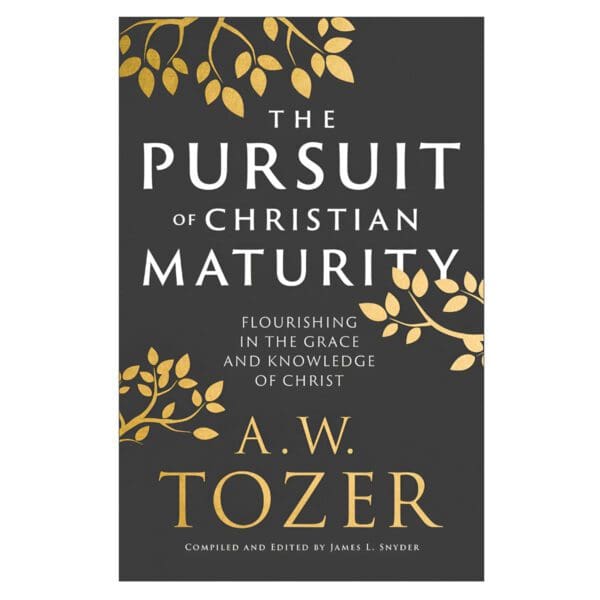 The Pursuit of Christian Maturity: Flourishing in the Grace and Knowledge of Christ PB - Image 2
