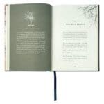 Hope In 60 Seconds: Encountering The God Of The Impossible (Hardcover) - Image 24