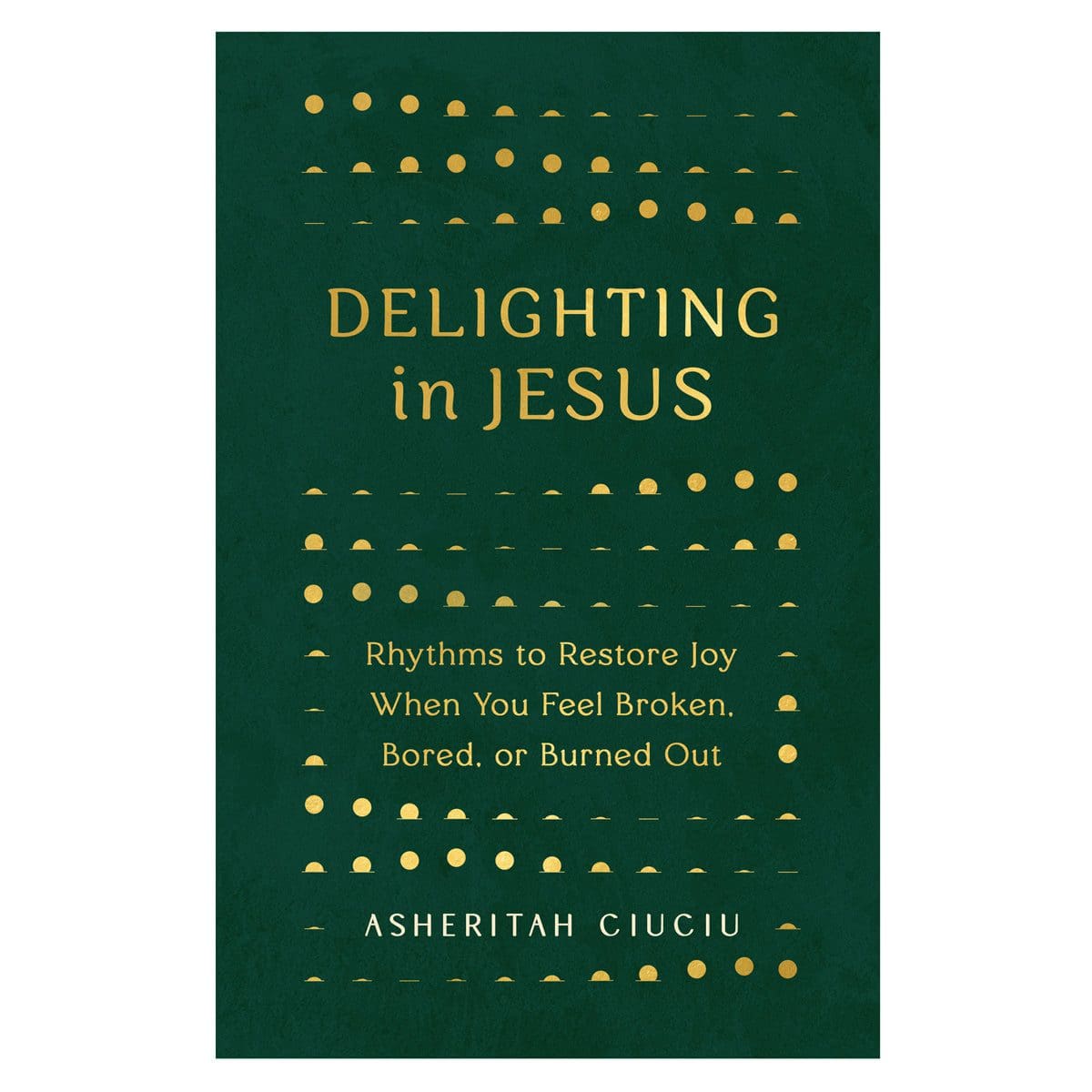 9780802419507_front Delighting in Jesus: Rhythms to Restore Joy (Paperback) - Image 2
