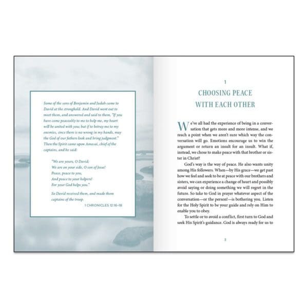 The Miracle Of Peace: You Can Find Peace (Hardcover) - Image 2