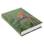 NRSV Bird of Paradise Hardcover Catholic Edition Holy Bible Global Cover Series - Image 30