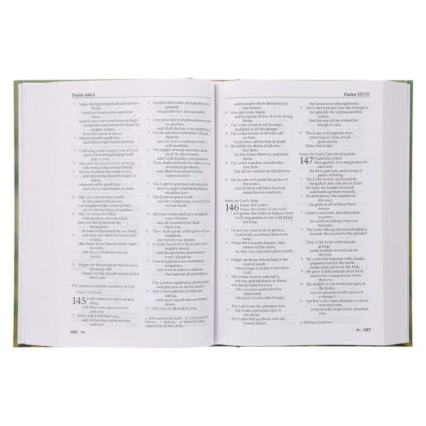 NRSV Bird of Paradise Hardcover Catholic Edition Holy Bible Global Cover Series - Image 33