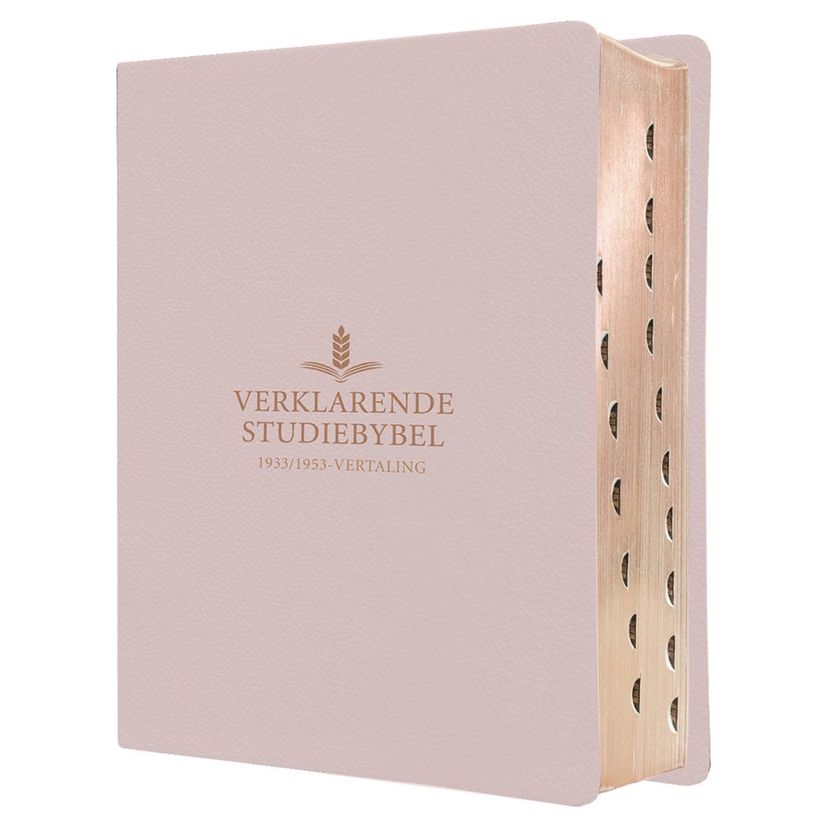 9781415342053_feature1 Afrikaans 1933/1953 Vertaling Ligroos Kunsleer Verklarende Studiebybel - Image 29