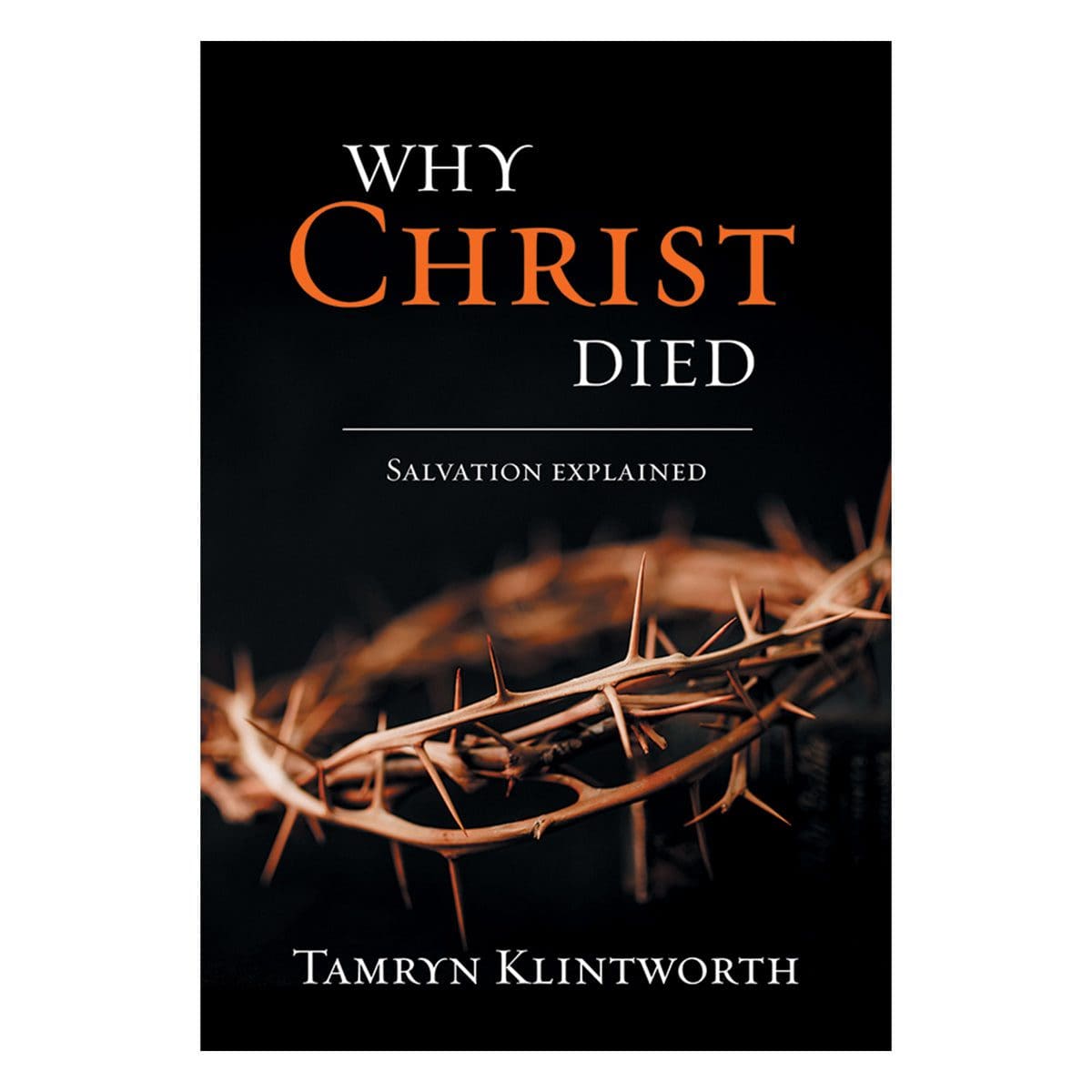 9781415342695_front Why Christ Died (Paperback) - Image 5
