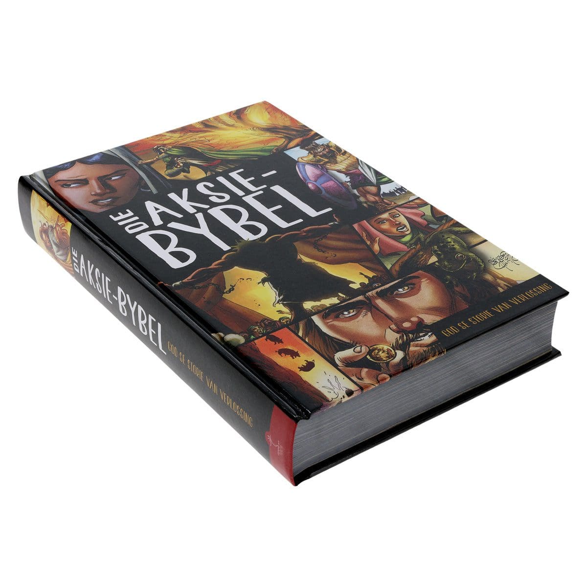 9781431615995_feature1 Die Aksie-Bybel (Hardeband) - Image 25