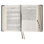 NLV Swart Kunsleer Tematiese Studiebybel Met Duimgrepe - Image 33