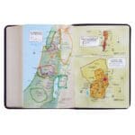 KJV Purple Faux Leather Compact Bible Large Print Red Letter - Image 33