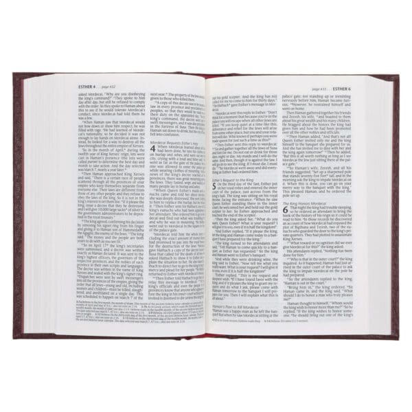 NLT Compact Bible Burgundy Hardcover - Image 4