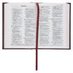 NLT Compact Bible Burgundy Hardcover - Image 5