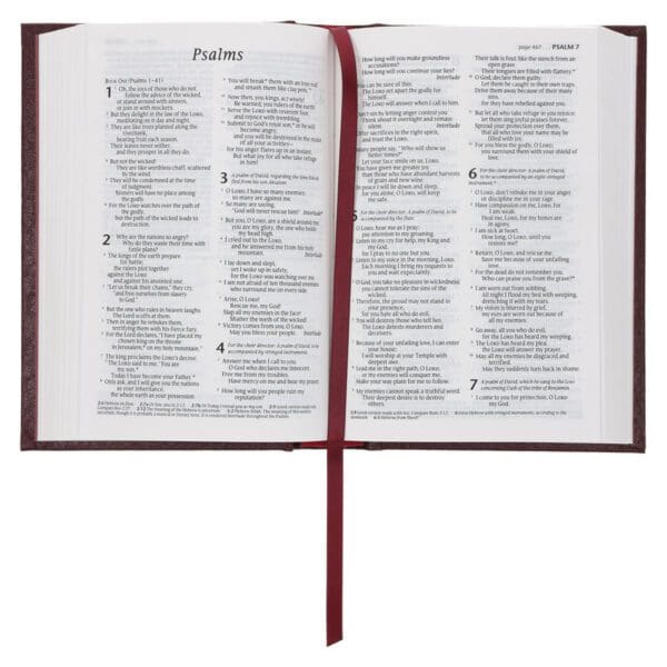 NLT Compact Bible Burgundy Hardcover - Image 5