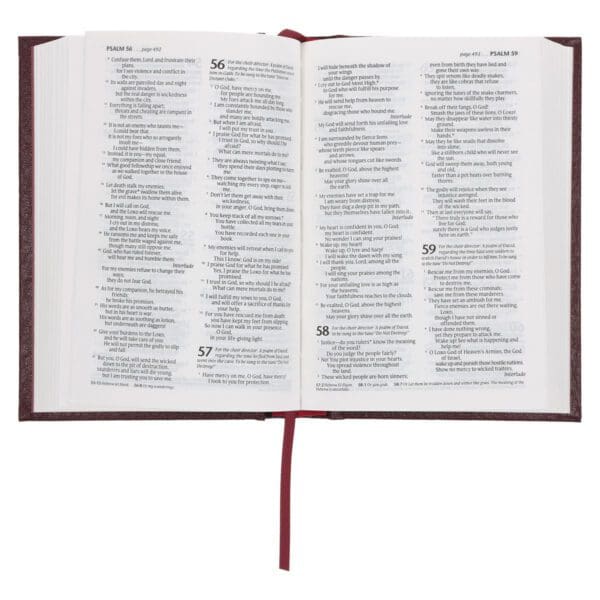 NLT Compact Bible Burgundy Hardcover - Image 6