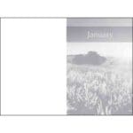 A Mustard Seed (Padded Hardcover) - Image 22