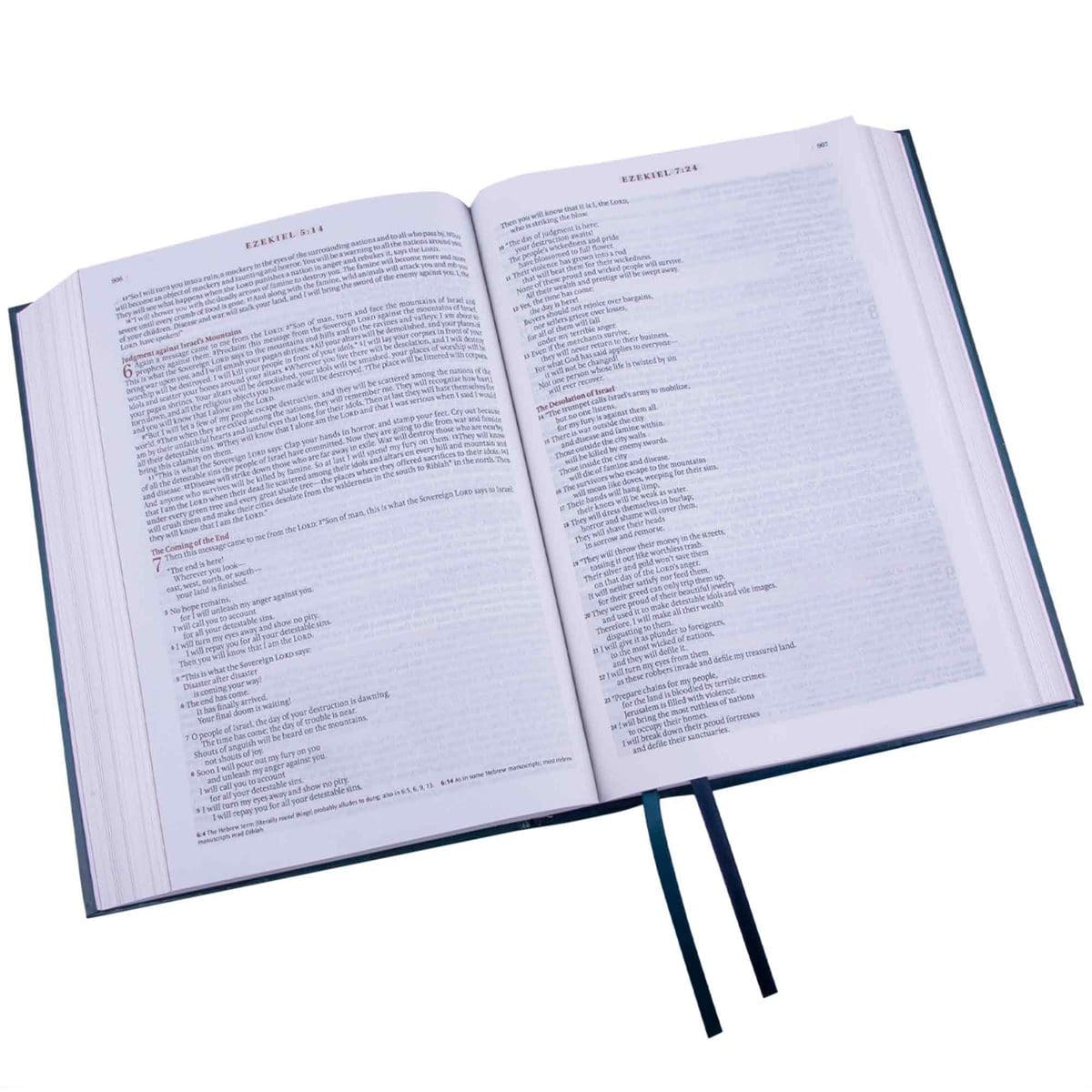 9781432134679_feature3 NLT The Spiritual Growth Bible Teal Hardcover - Image 32