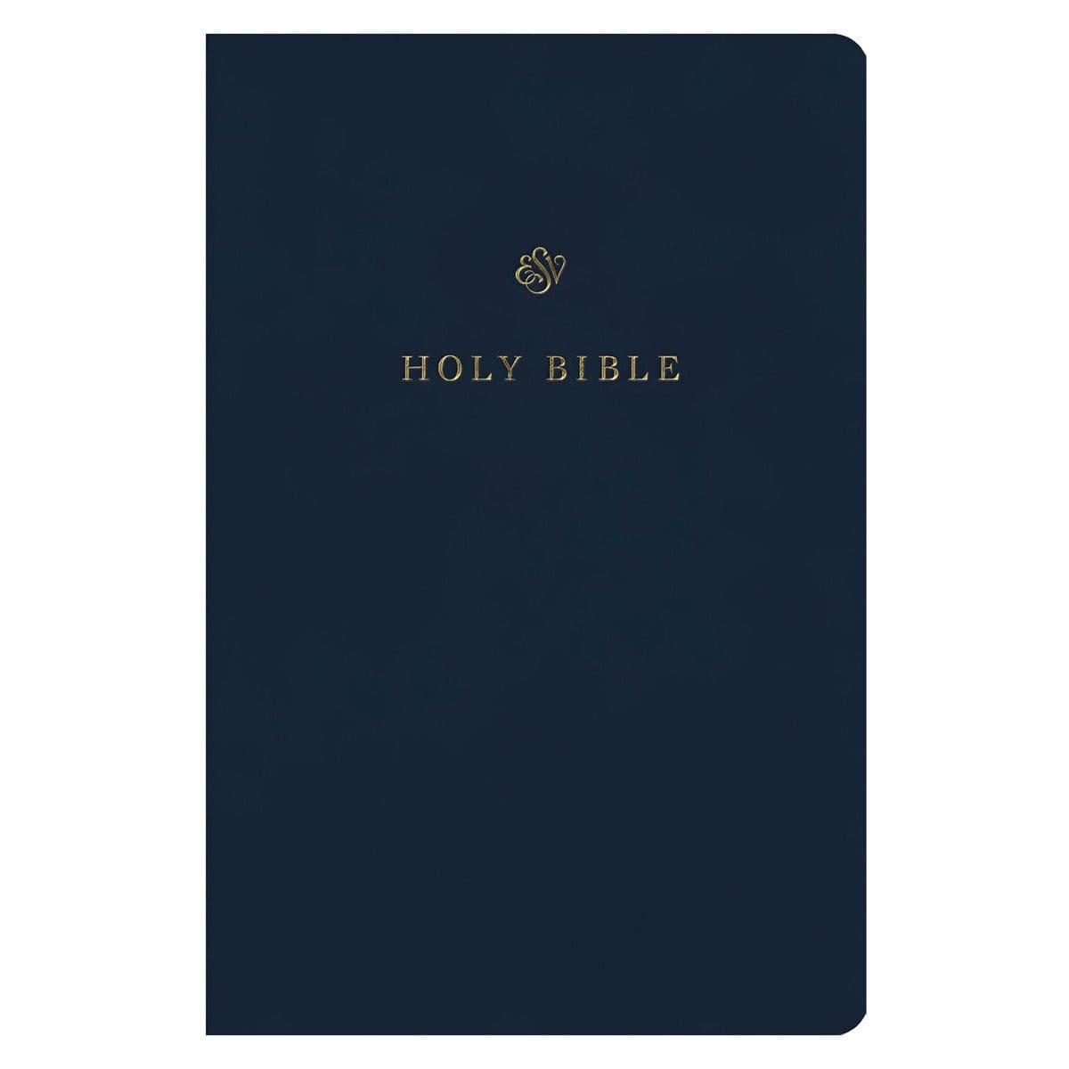 9781433590276_front ESV Blue Imitation Leather Gift and Award Bible - Image 5