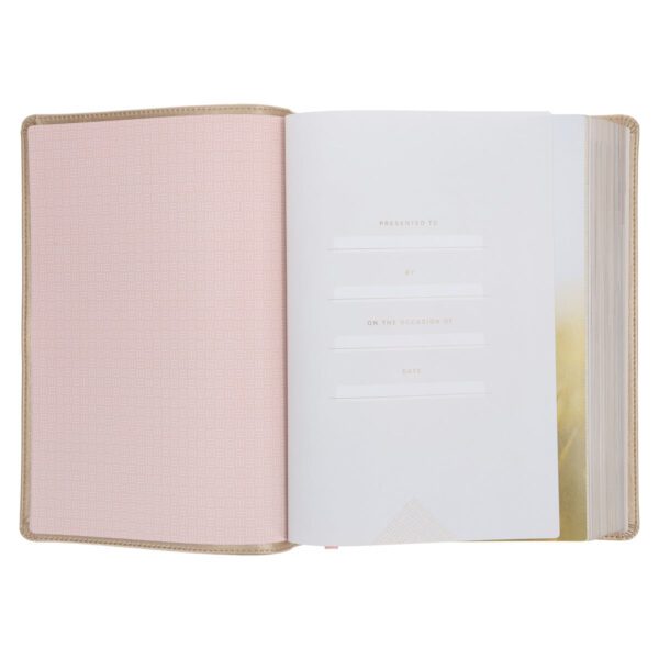 NLT Soft Gold Imitation Leather Filament Enabled Every Woman’s Bible - Image 17