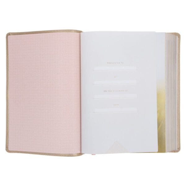 NLT Soft Gold Imitation Leather Filament Enabled Every Woman’s Bible - Image 17