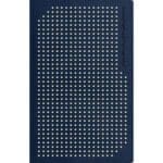 NLT Boys Life Application Study Bible, Indexed, TuTone, Blue / Neon / Glow (Imitation Leather) - Image 5