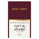 NRSV Burgundy Imitation Leather Gift & Award Bible Updated Edition with Apocrypha - Image 3