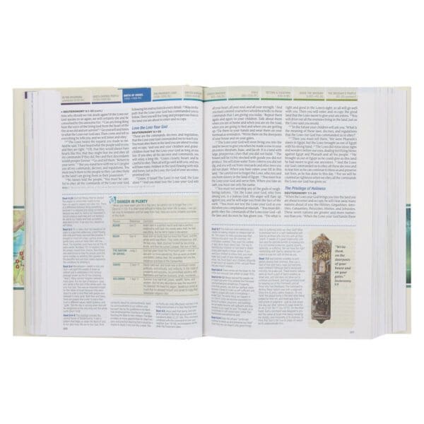 NLT Hardcover Chronological Life Application Study Bible Second Edition - Image 11
