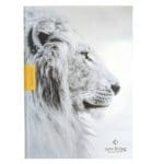 NLT Courage For Life Filament Enabled Study Bible For Men (Hardcover) - Image 13