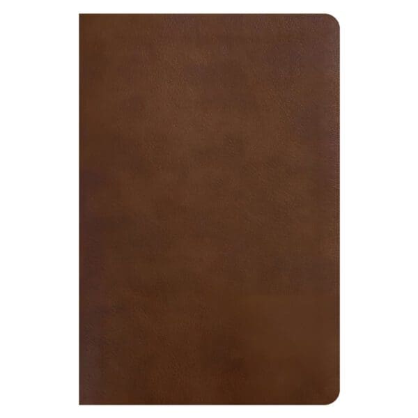 NLT Rustic Brown Imitation Leather One Year Chronological Study Bible - Image 14
