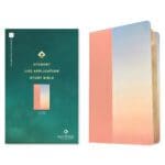 NLT Ombre Imitation Leather Filament Student Life Application Bible Red Letter - Image 3