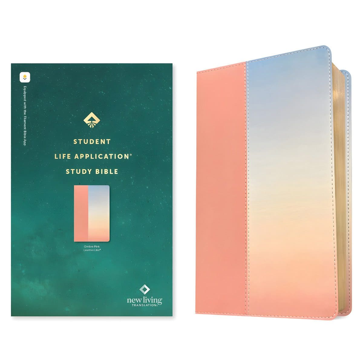 9781496489845_feature2 NLT Ombre Imitation Leather Filament Student Life Application Bible Red Letter - Image 3