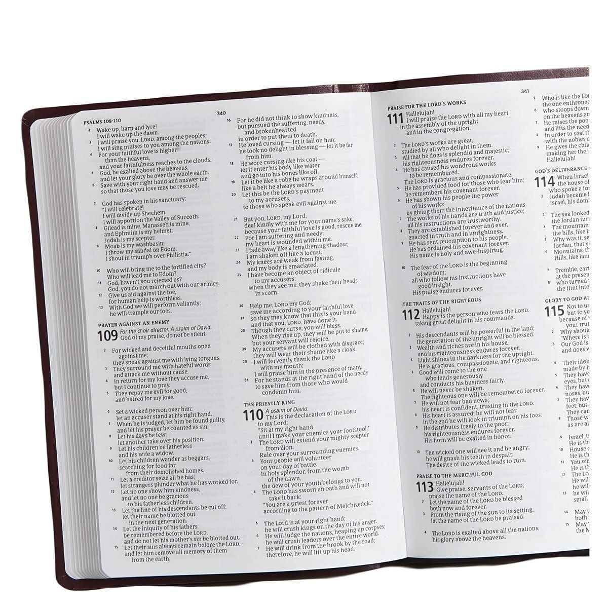 9781535941495_feature2 CSB Burgundy Imitation Leather Gift & Award Bible - Image 15