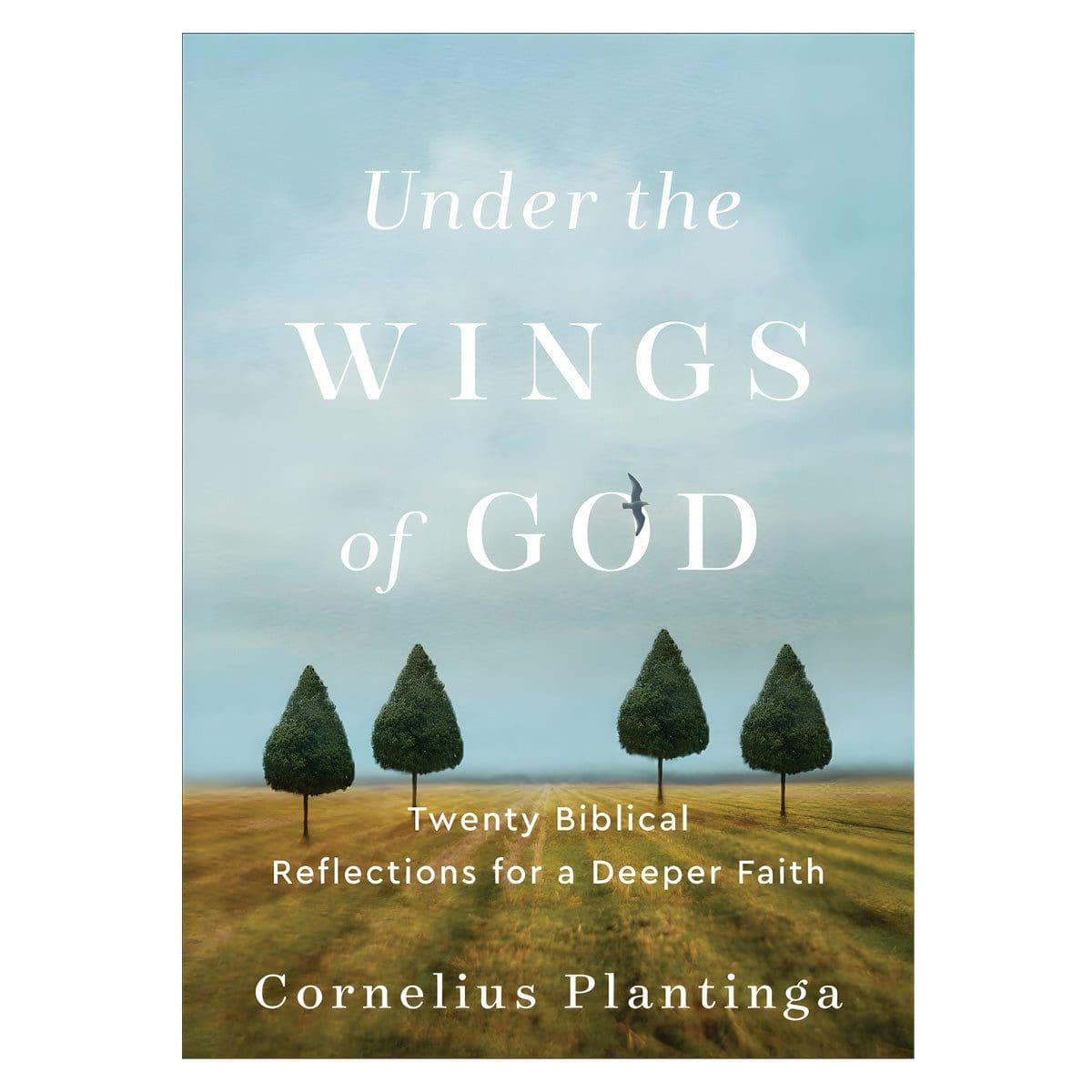 9781540966179_front Under The Wings Of God: Twenty Biblical Reflections For A Deeper Faith (Paperback) - Image 5