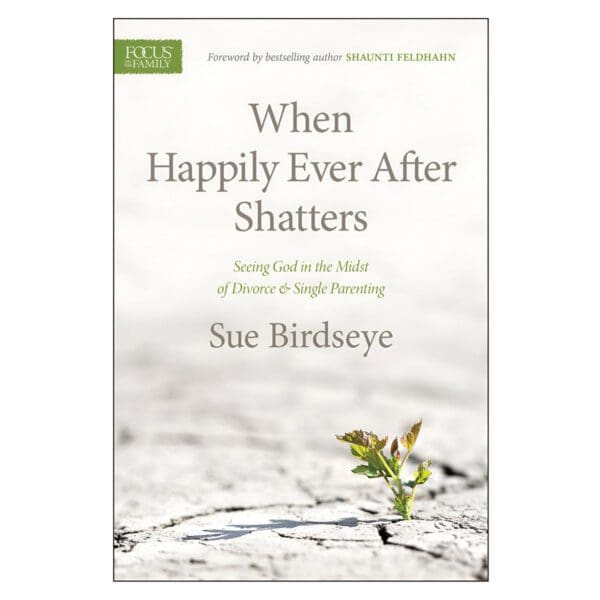 When Happily Ever After Shatters: Seeing God in the Midst of Divorce & Single Parenting PB - Image 4