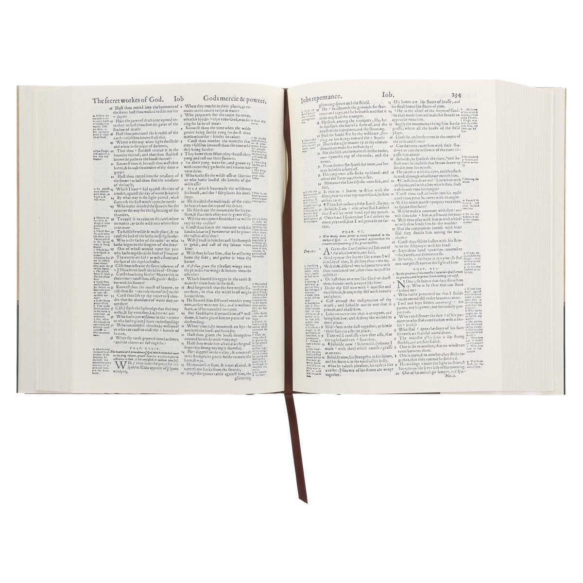 9781598562125_feature3 The Geneva Bible: The Bible of the Protestant Reformation 1560 Edition (Hardcover) - Image 9