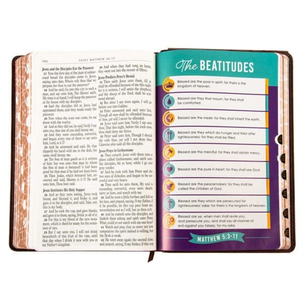 KJV Brown Lion Faux Leather Flexcover Kids Bible Large Print - Image 34