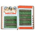 KJV Brown Lion Faux Leather Flexcover Kids Bible Large Print - Image 35
