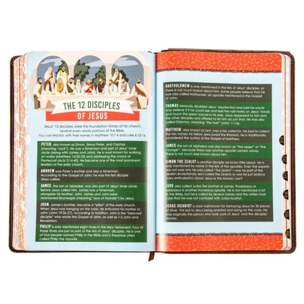 KJV Brown Lion Faux Leather Flexcover Kids Bible Large Print - Image 35