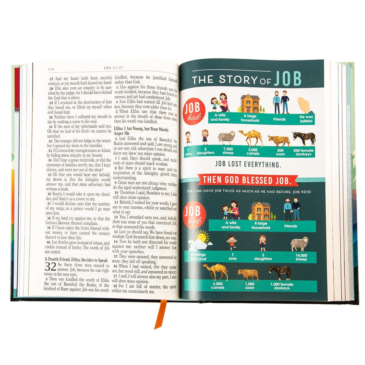 9781639523009_feature4 KJV Teal Mountains Hardcover Kids Bible Large Print - Image 30