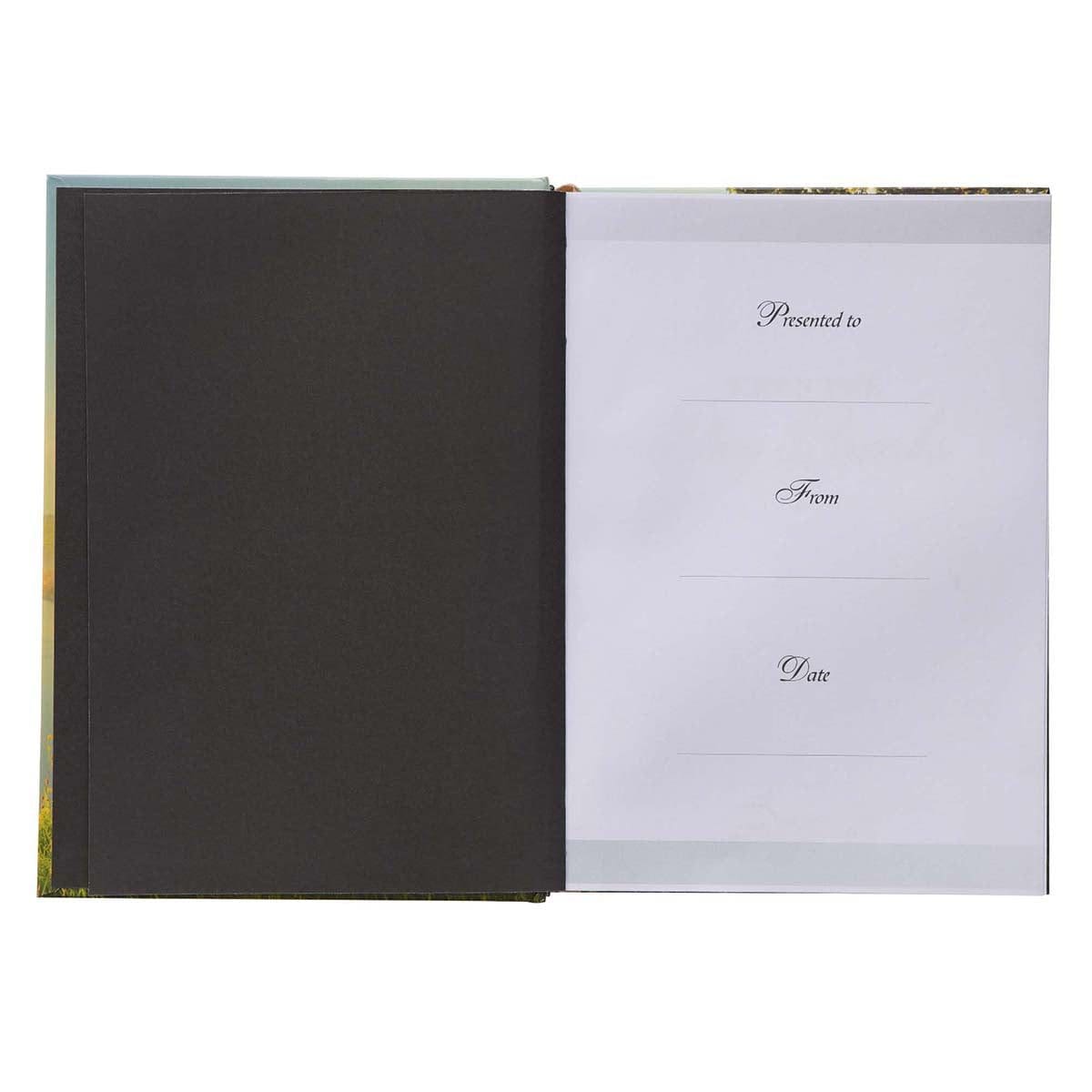 9781642726732_feature1 When The Day Breaks Pond (Padded Hardcover) - Image 18