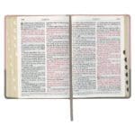 KJV Pink And Grey Faux Leather Bible Super Giant Print - Image 33