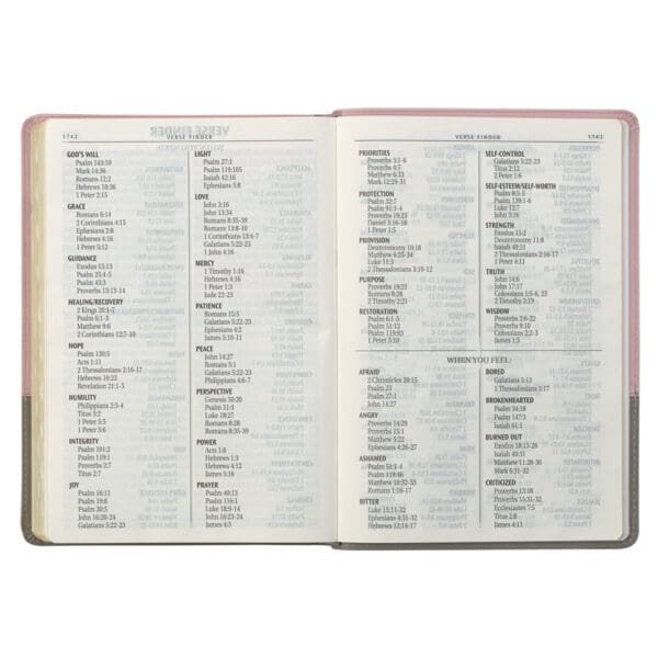KJV Pink And Grey Faux Leather Bible Super Giant Print - Image 34