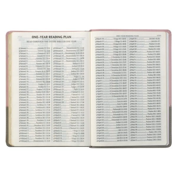 KJV Pink And Grey Faux Leather Bible Super Giant Print - Image 35