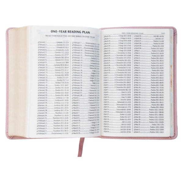 KJV Pink Floral Faux Leather Compact Bible Large Print - Image 10